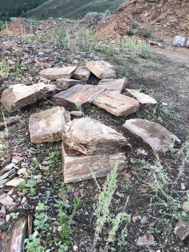 Плитняк кора дерева 50-100мм для пошаговых дорожек купить в Когалыме